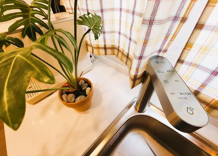 Gasthuis Oreum Myeongdong - Female Only Seoel